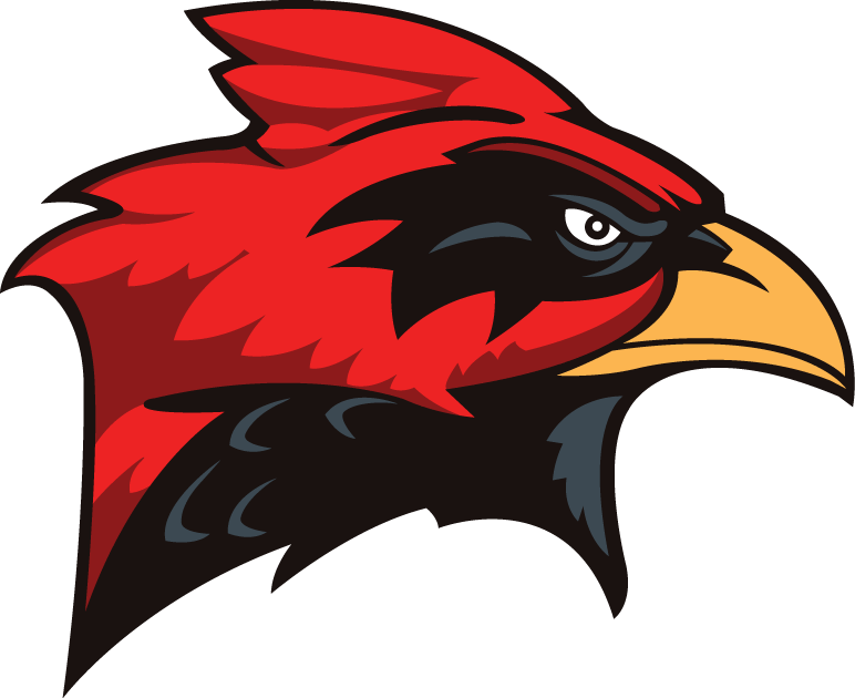 Incarnate Word Cardinals 1998-2010 Secondary Logo iron on paper